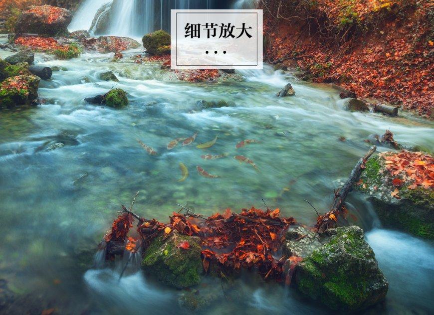 炒年糕怎么做好吃游戏画面