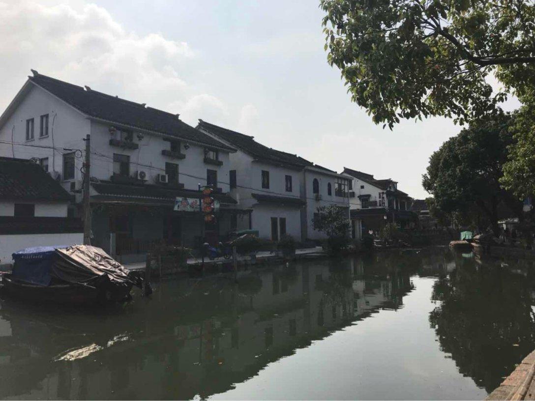 僵尸顶顶乐